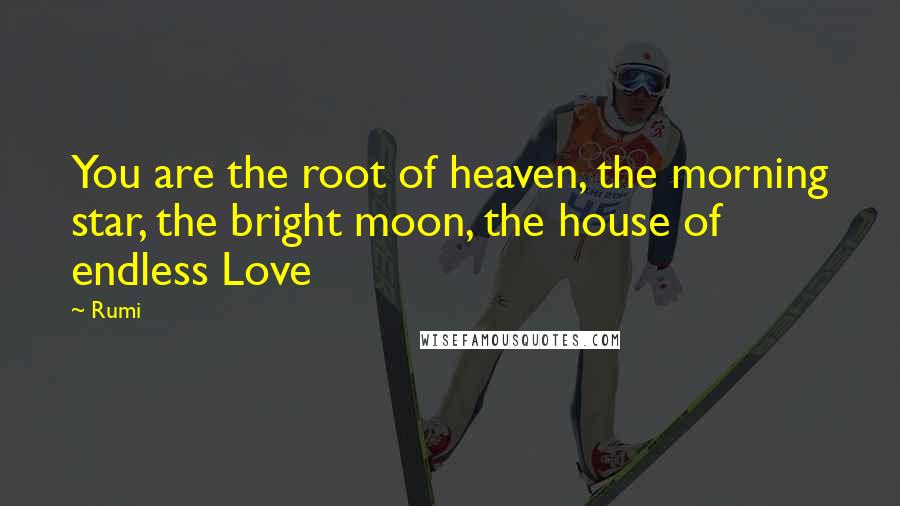 Rumi Quotes: You are the root of heaven, the morning star, the bright moon, the house of endless Love