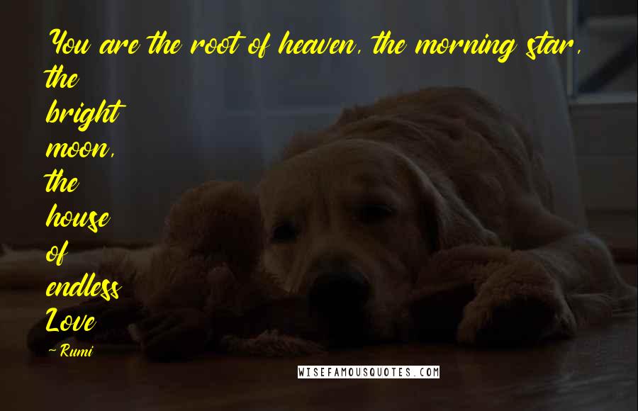 Rumi Quotes: You are the root of heaven, the morning star, the bright moon, the house of endless Love