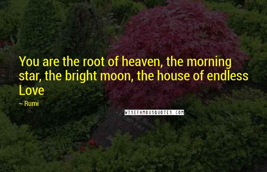 Rumi Quotes: You are the root of heaven, the morning star, the bright moon, the house of endless Love