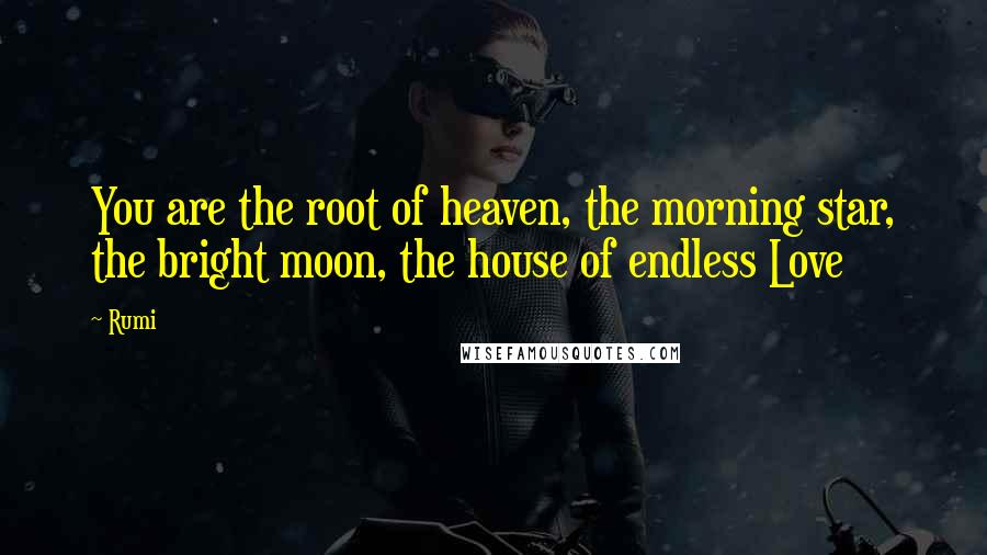 Rumi Quotes: You are the root of heaven, the morning star, the bright moon, the house of endless Love