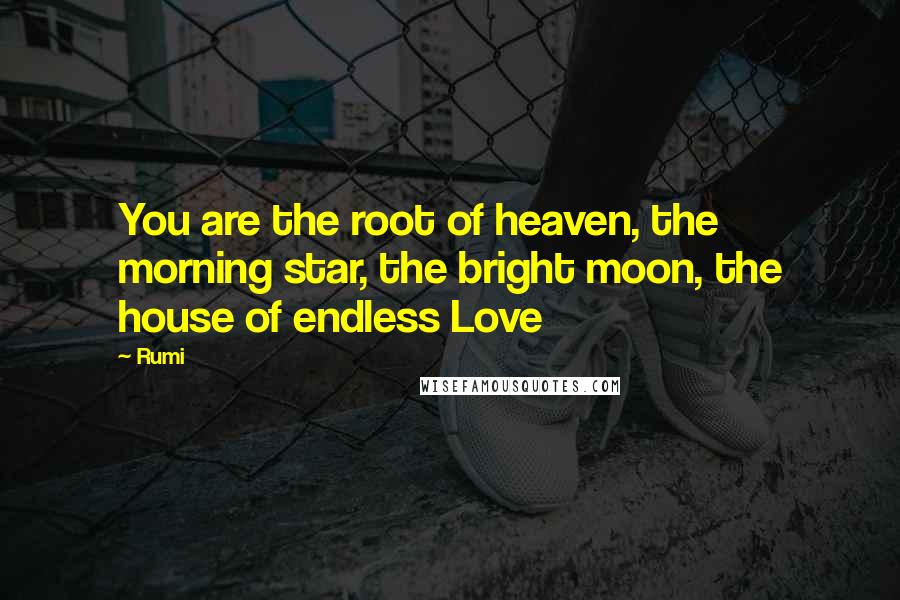 Rumi Quotes: You are the root of heaven, the morning star, the bright moon, the house of endless Love