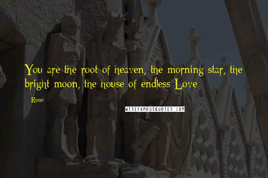 Rumi Quotes: You are the root of heaven, the morning star, the bright moon, the house of endless Love