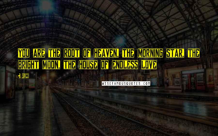 Rumi Quotes: You are the root of heaven, the morning star, the bright moon, the house of endless Love