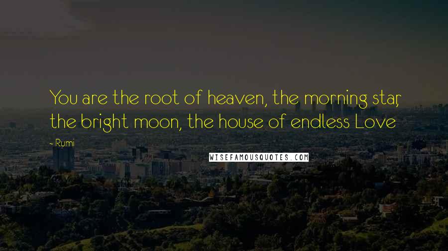 Rumi Quotes: You are the root of heaven, the morning star, the bright moon, the house of endless Love