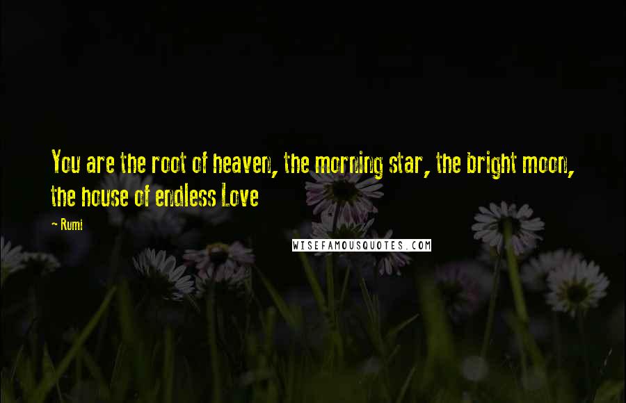 Rumi Quotes: You are the root of heaven, the morning star, the bright moon, the house of endless Love