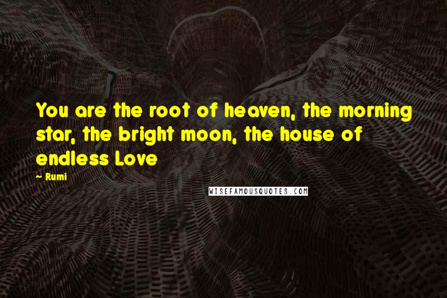 Rumi Quotes: You are the root of heaven, the morning star, the bright moon, the house of endless Love