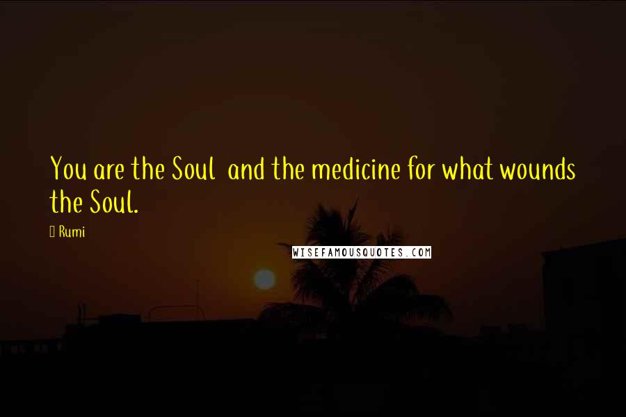 Rumi Quotes: You are the Soul and the medicine for what wounds the Soul.