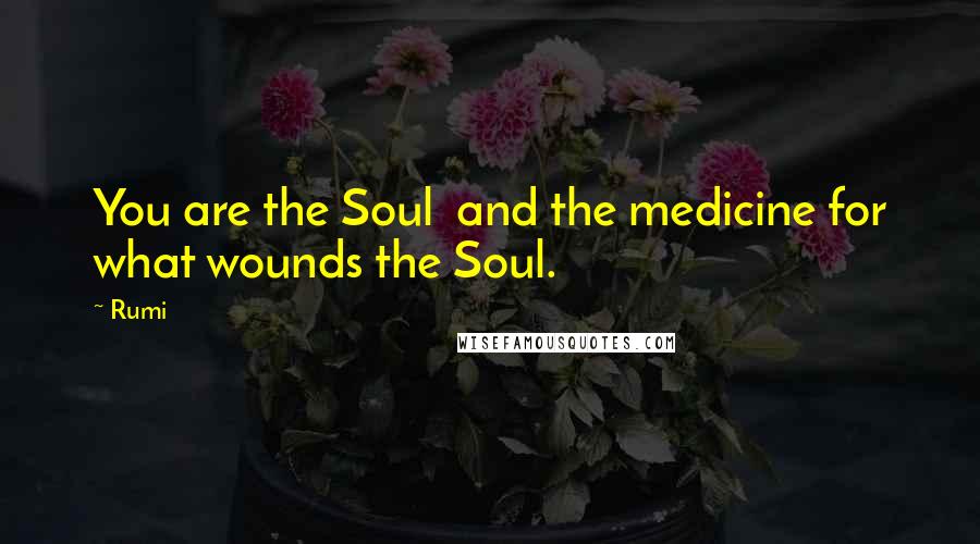 Rumi Quotes: You are the Soul and the medicine for what wounds the Soul.