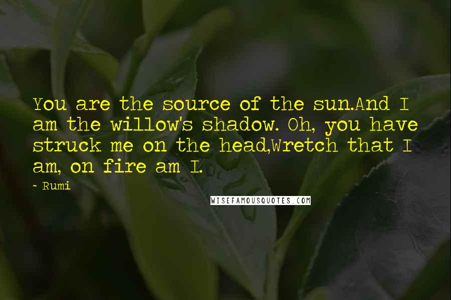 Rumi Quotes: You are the source of the sun.And I am the willow's shadow. Oh, you have struck me on the head,Wretch that I am, on fire am I.