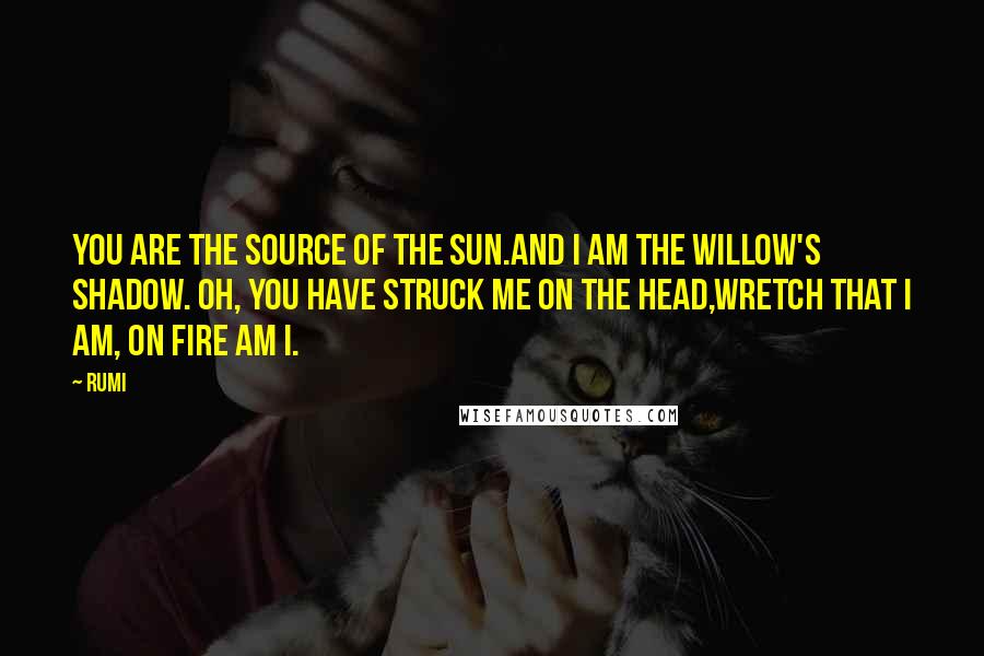 Rumi Quotes: You are the source of the sun.And I am the willow's shadow. Oh, you have struck me on the head,Wretch that I am, on fire am I.