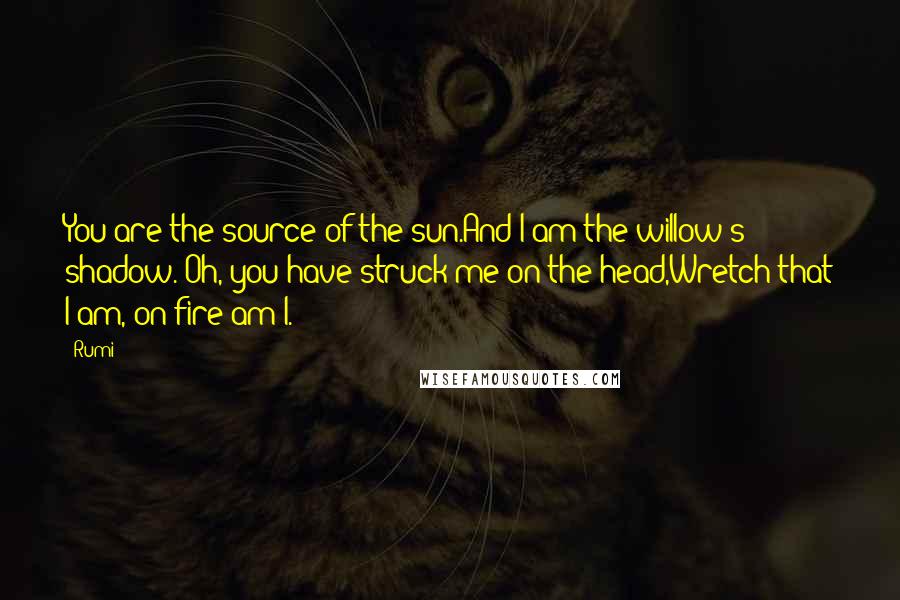 Rumi Quotes: You are the source of the sun.And I am the willow's shadow. Oh, you have struck me on the head,Wretch that I am, on fire am I.