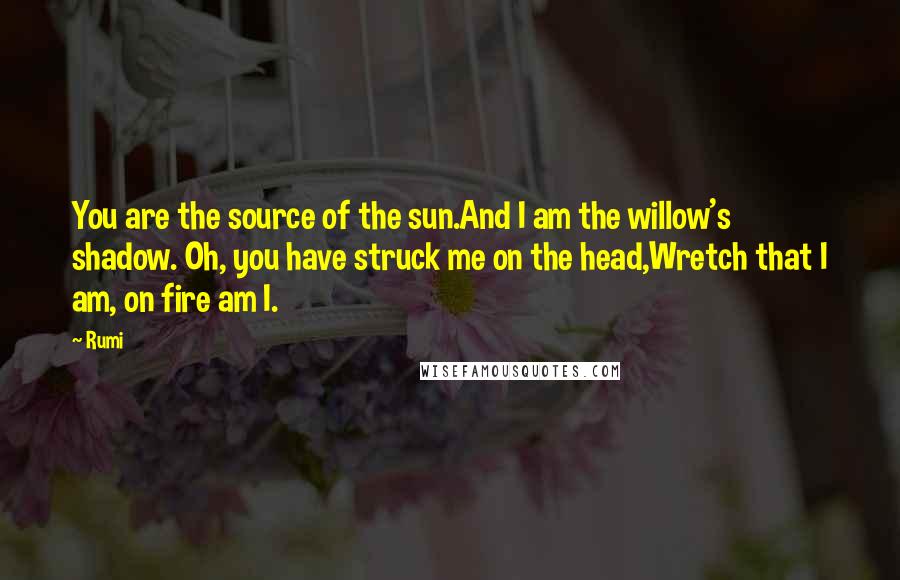 Rumi Quotes: You are the source of the sun.And I am the willow's shadow. Oh, you have struck me on the head,Wretch that I am, on fire am I.