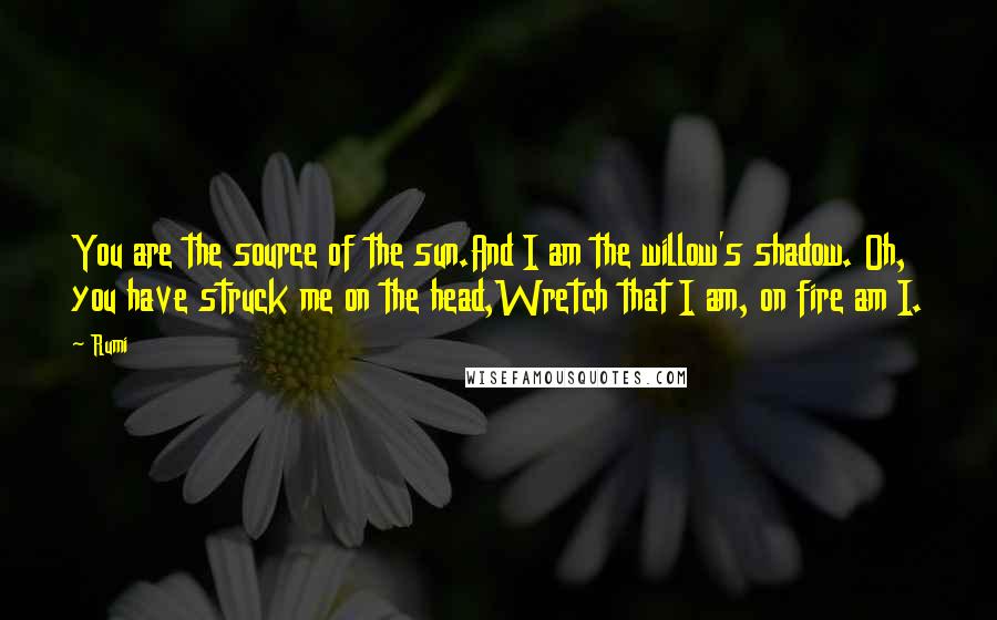 Rumi Quotes: You are the source of the sun.And I am the willow's shadow. Oh, you have struck me on the head,Wretch that I am, on fire am I.