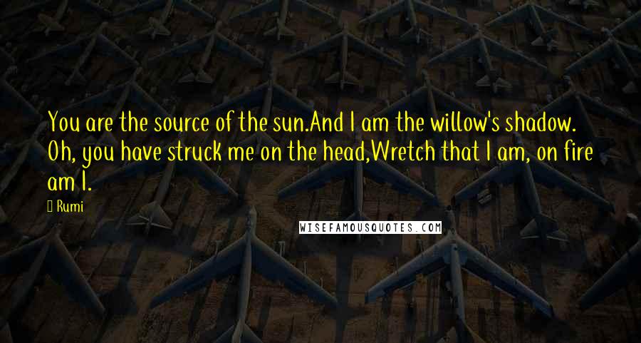 Rumi Quotes: You are the source of the sun.And I am the willow's shadow. Oh, you have struck me on the head,Wretch that I am, on fire am I.