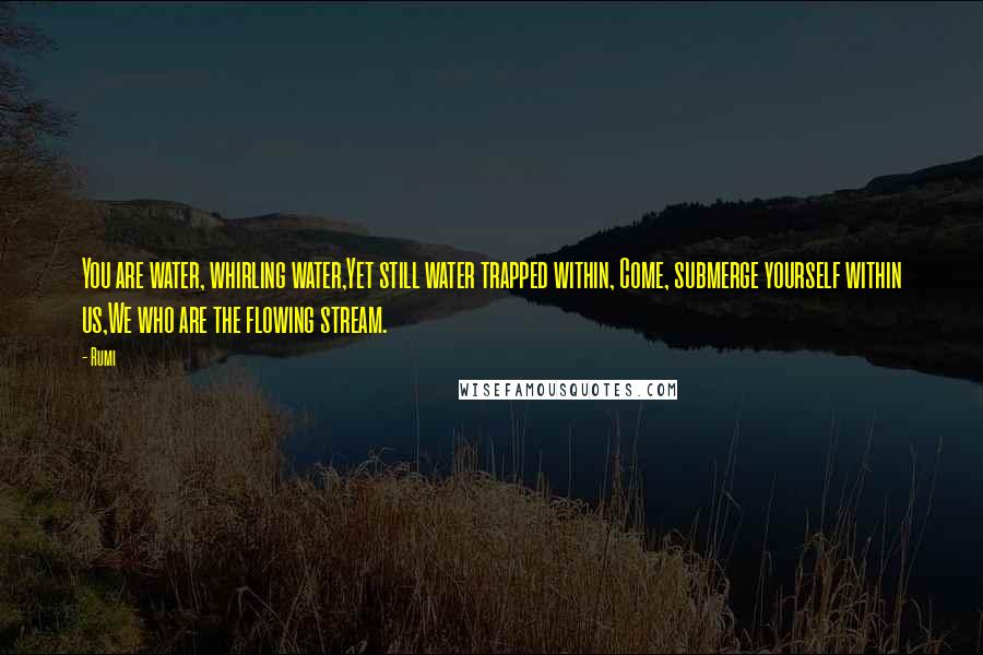 Rumi Quotes: You are water, whirling water,Yet still water trapped within, Come, submerge yourself within us,We who are the flowing stream.