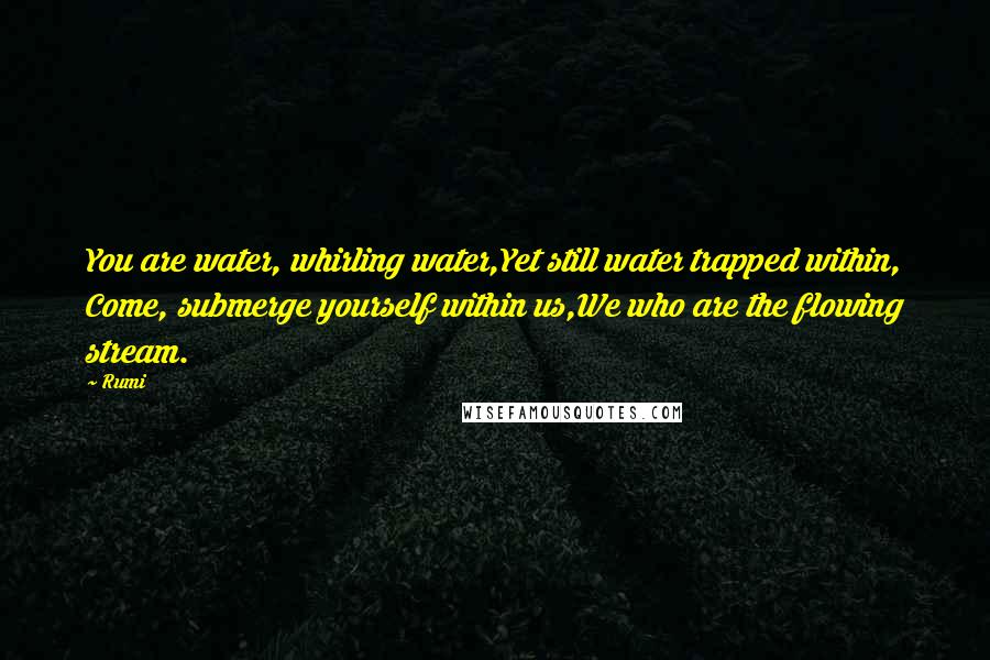 Rumi Quotes: You are water, whirling water,Yet still water trapped within, Come, submerge yourself within us,We who are the flowing stream.