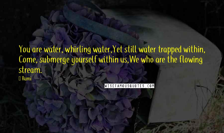 Rumi Quotes: You are water, whirling water,Yet still water trapped within, Come, submerge yourself within us,We who are the flowing stream.