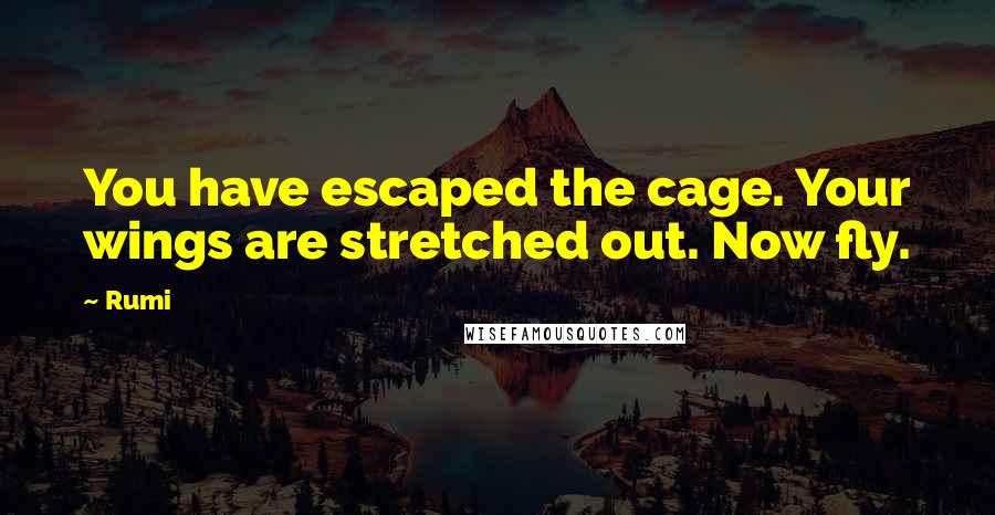 Rumi Quotes: You have escaped the cage. Your wings are stretched out. Now fly.