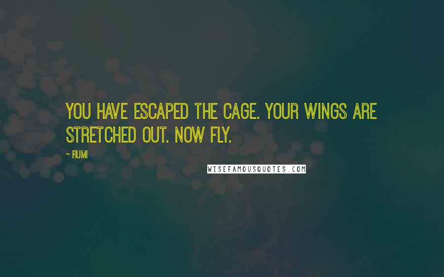 Rumi Quotes: You have escaped the cage. Your wings are stretched out. Now fly.