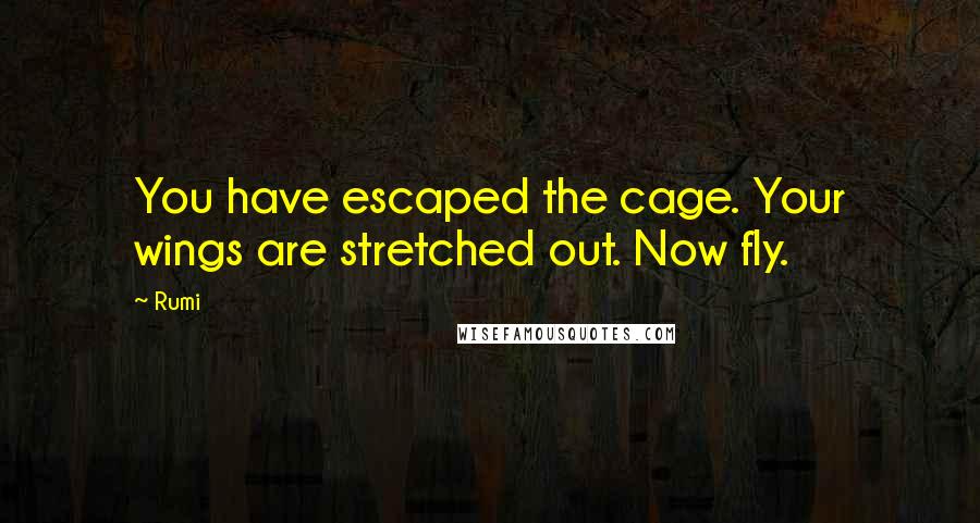 Rumi Quotes: You have escaped the cage. Your wings are stretched out. Now fly.