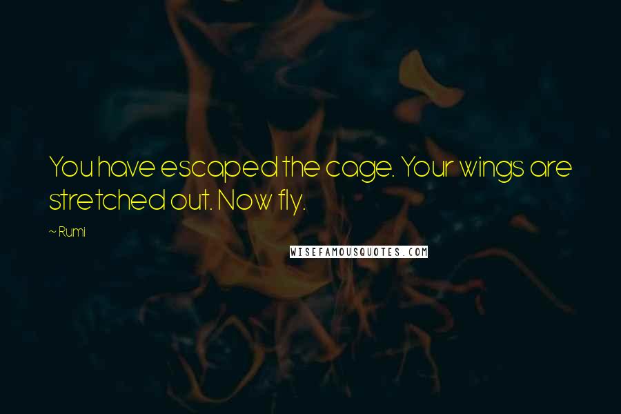 Rumi Quotes: You have escaped the cage. Your wings are stretched out. Now fly.