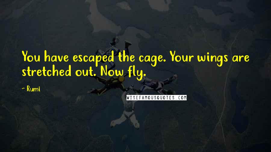 Rumi Quotes: You have escaped the cage. Your wings are stretched out. Now fly.