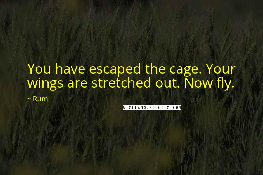 Rumi Quotes: You have escaped the cage. Your wings are stretched out. Now fly.
