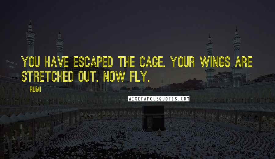 Rumi Quotes: You have escaped the cage. Your wings are stretched out. Now fly.