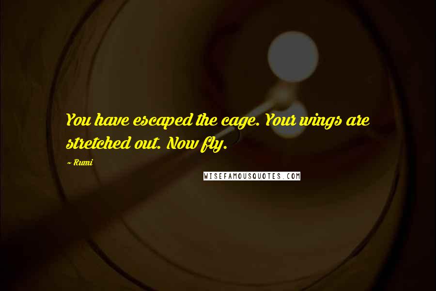 Rumi Quotes: You have escaped the cage. Your wings are stretched out. Now fly.