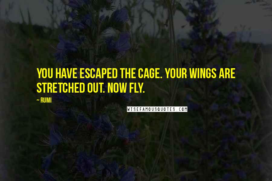 Rumi Quotes: You have escaped the cage. Your wings are stretched out. Now fly.