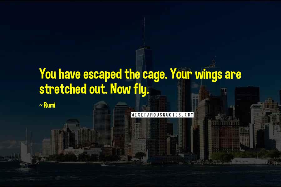 Rumi Quotes: You have escaped the cage. Your wings are stretched out. Now fly.