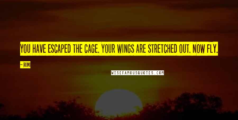 Rumi Quotes: You have escaped the cage. Your wings are stretched out. Now fly.