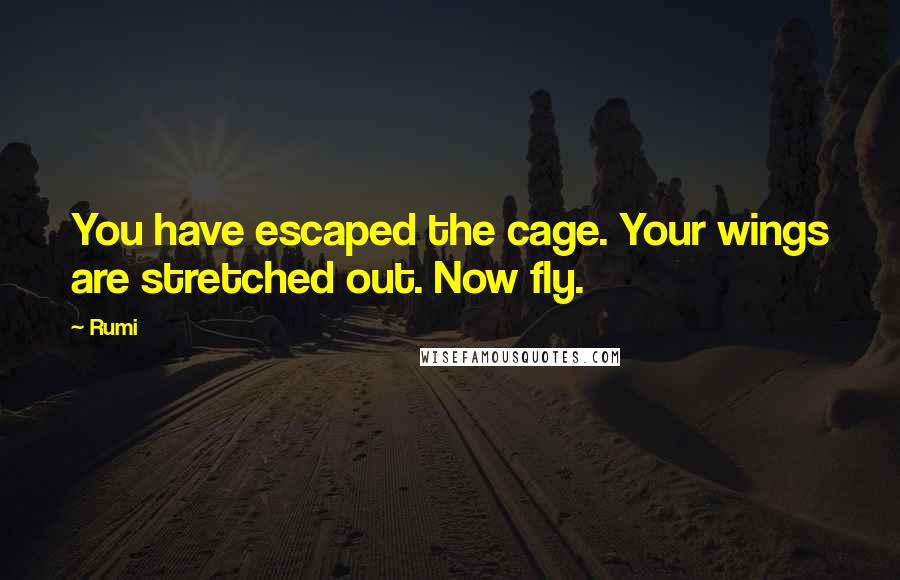 Rumi Quotes: You have escaped the cage. Your wings are stretched out. Now fly.