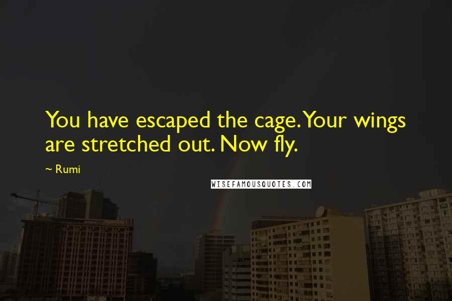 Rumi Quotes: You have escaped the cage. Your wings are stretched out. Now fly.