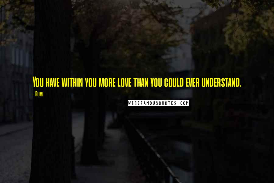 Rumi Quotes: You have within you more love than you could ever understand.