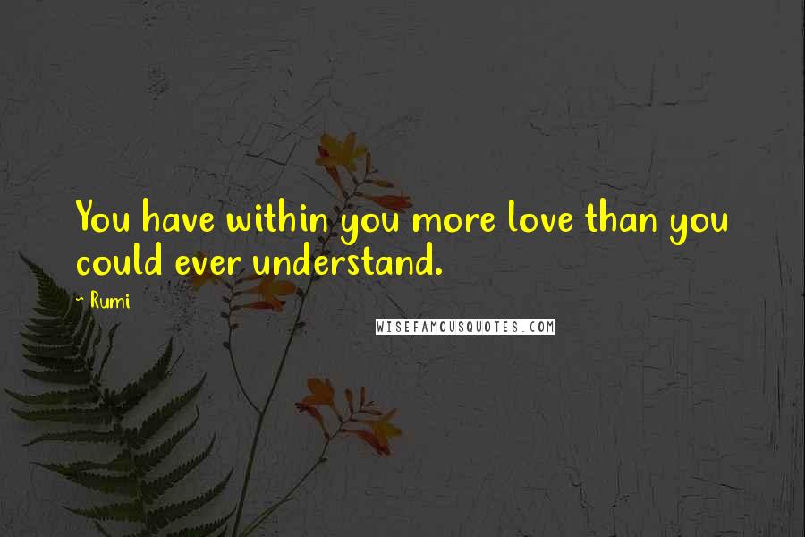 Rumi Quotes: You have within you more love than you could ever understand.