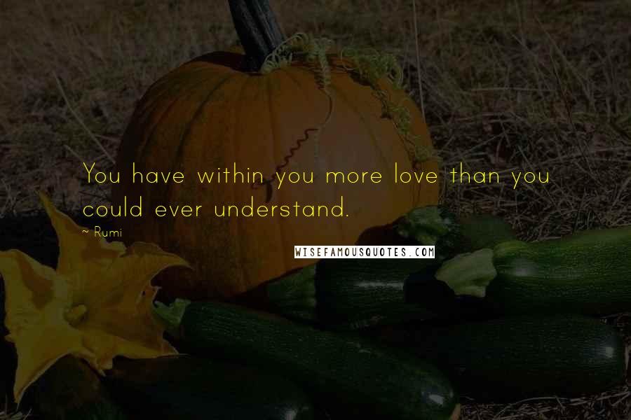 Rumi Quotes: You have within you more love than you could ever understand.