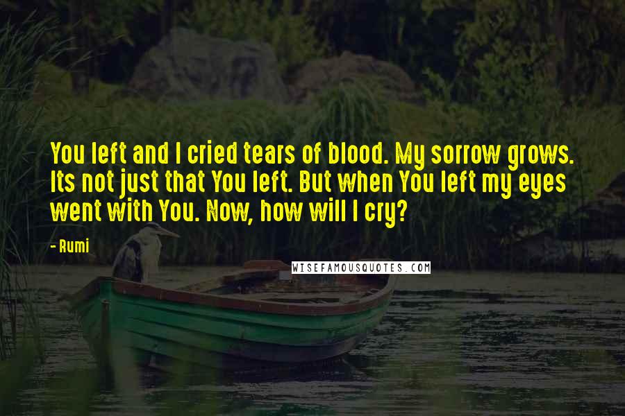 Rumi Quotes: You left and I cried tears of blood. My sorrow grows. Its not just that You left. But when You left my eyes went with You. Now, how will I cry?