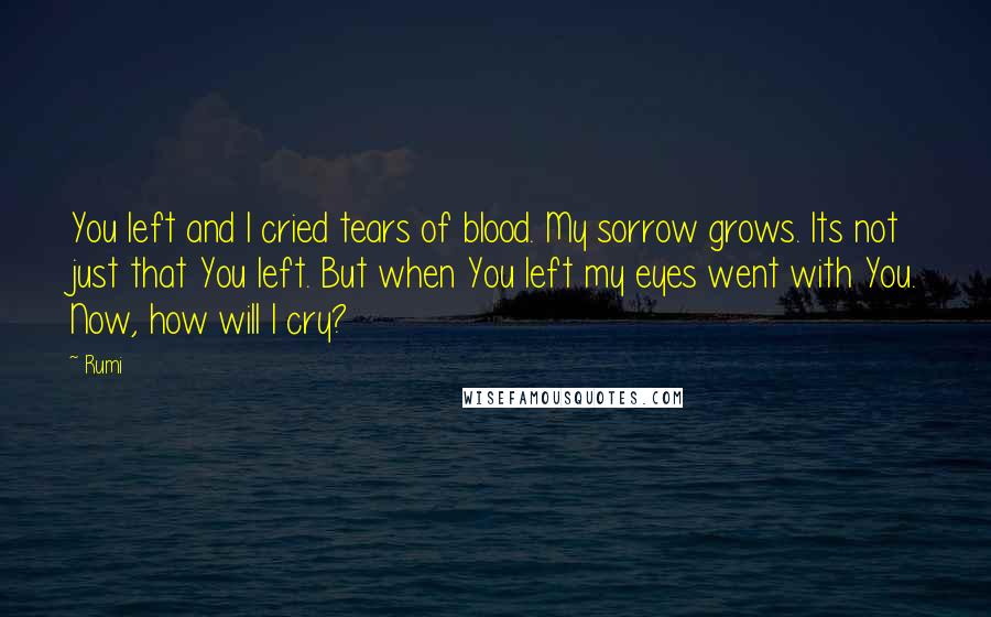 Rumi Quotes: You left and I cried tears of blood. My sorrow grows. Its not just that You left. But when You left my eyes went with You. Now, how will I cry?