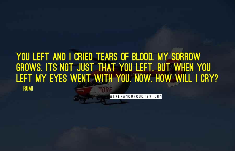 Rumi Quotes: You left and I cried tears of blood. My sorrow grows. Its not just that You left. But when You left my eyes went with You. Now, how will I cry?