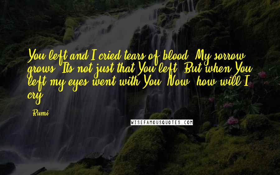 Rumi Quotes: You left and I cried tears of blood. My sorrow grows. Its not just that You left. But when You left my eyes went with You. Now, how will I cry?