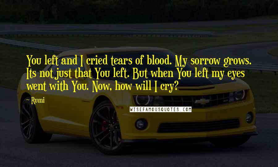 Rumi Quotes: You left and I cried tears of blood. My sorrow grows. Its not just that You left. But when You left my eyes went with You. Now, how will I cry?