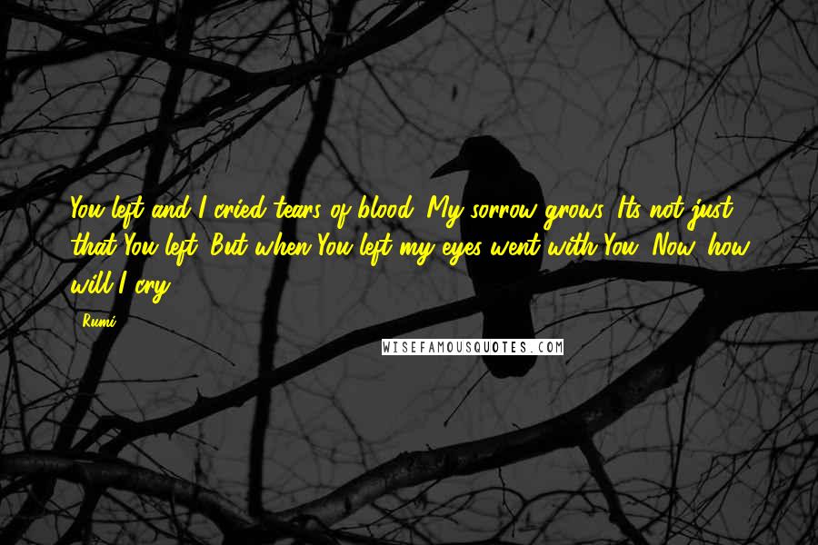 Rumi Quotes: You left and I cried tears of blood. My sorrow grows. Its not just that You left. But when You left my eyes went with You. Now, how will I cry?