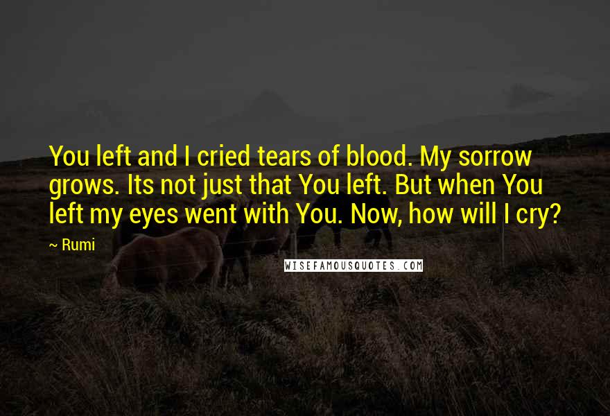 Rumi Quotes: You left and I cried tears of blood. My sorrow grows. Its not just that You left. But when You left my eyes went with You. Now, how will I cry?