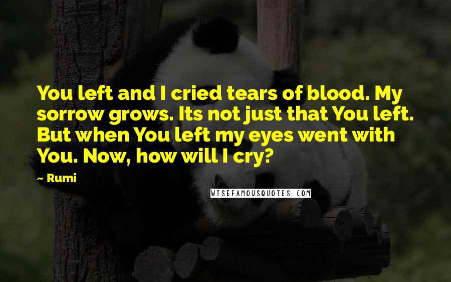 Rumi Quotes: You left and I cried tears of blood. My sorrow grows. Its not just that You left. But when You left my eyes went with You. Now, how will I cry?