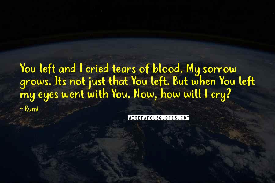Rumi Quotes: You left and I cried tears of blood. My sorrow grows. Its not just that You left. But when You left my eyes went with You. Now, how will I cry?