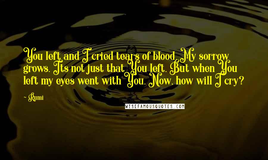 Rumi Quotes: You left and I cried tears of blood. My sorrow grows. Its not just that You left. But when You left my eyes went with You. Now, how will I cry?