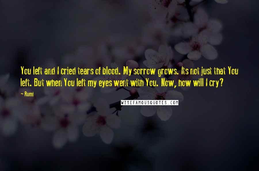 Rumi Quotes: You left and I cried tears of blood. My sorrow grows. Its not just that You left. But when You left my eyes went with You. Now, how will I cry?