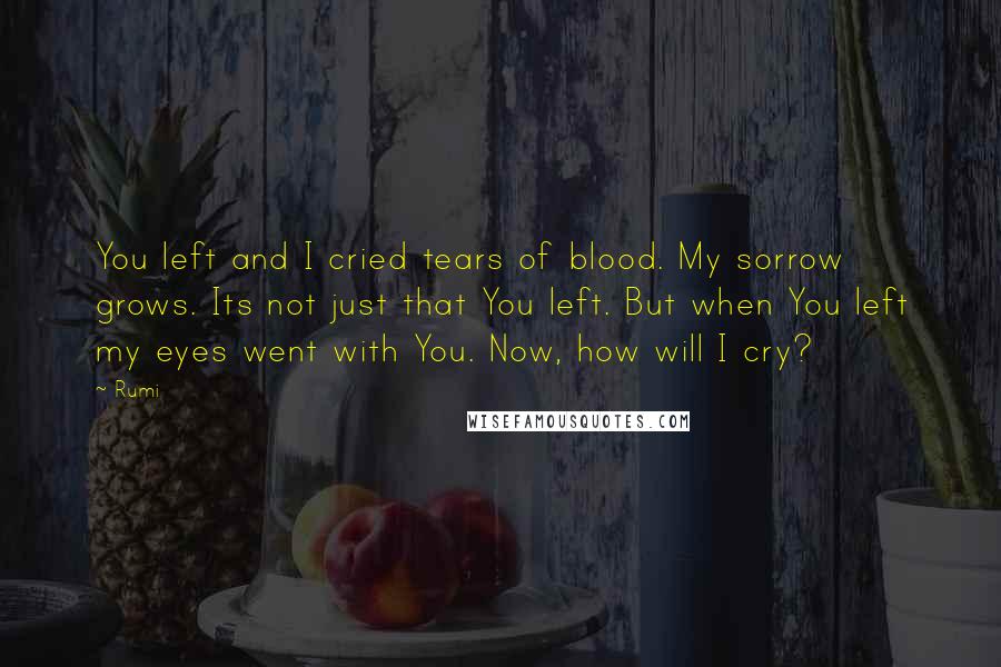 Rumi Quotes: You left and I cried tears of blood. My sorrow grows. Its not just that You left. But when You left my eyes went with You. Now, how will I cry?