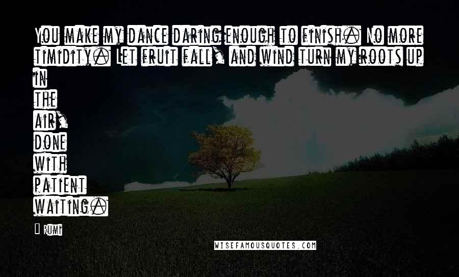 Rumi Quotes: You make my dance daring enough to finish. No more timidity. Let fruit fall, and wind turn my roots up in the air, done with patient waiting.